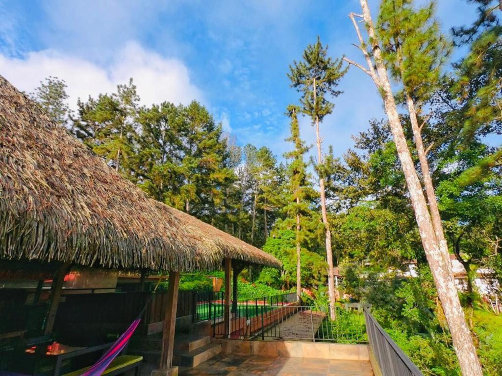 La Semilla Ecolodge Cerro Azul Eksteriør bilde