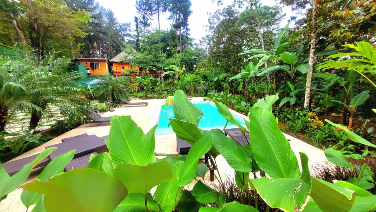 La Semilla Ecolodge Cerro Azul Eksteriør bilde