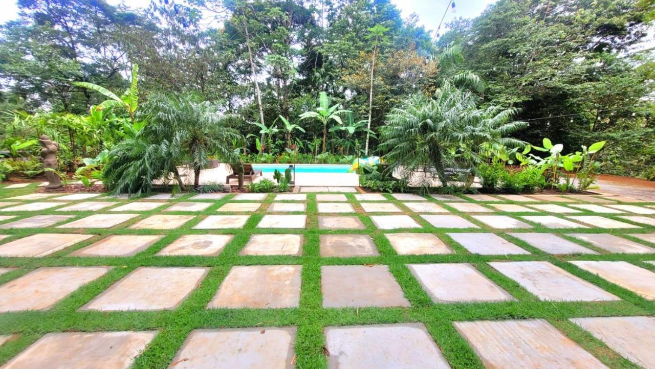 La Semilla Ecolodge Cerro Azul Eksteriør bilde