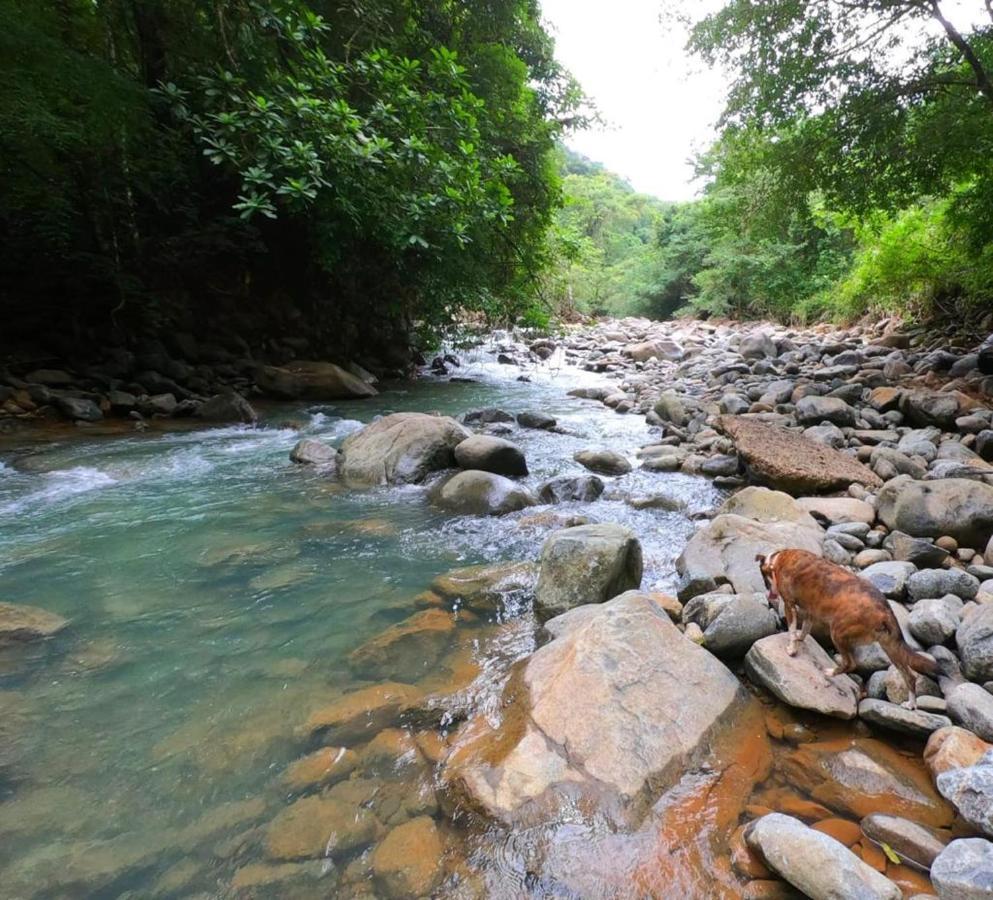 La Semilla Ecolodge Cerro Azul Eksteriør bilde