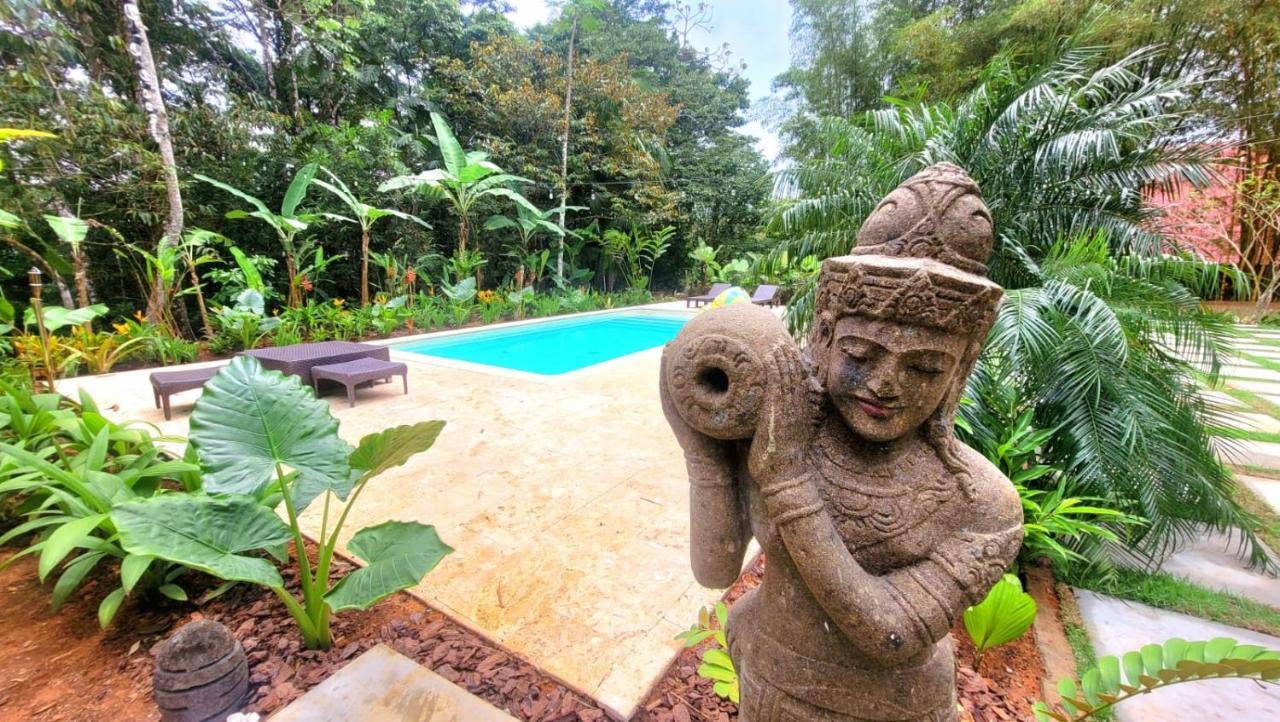 La Semilla Ecolodge Cerro Azul Eksteriør bilde