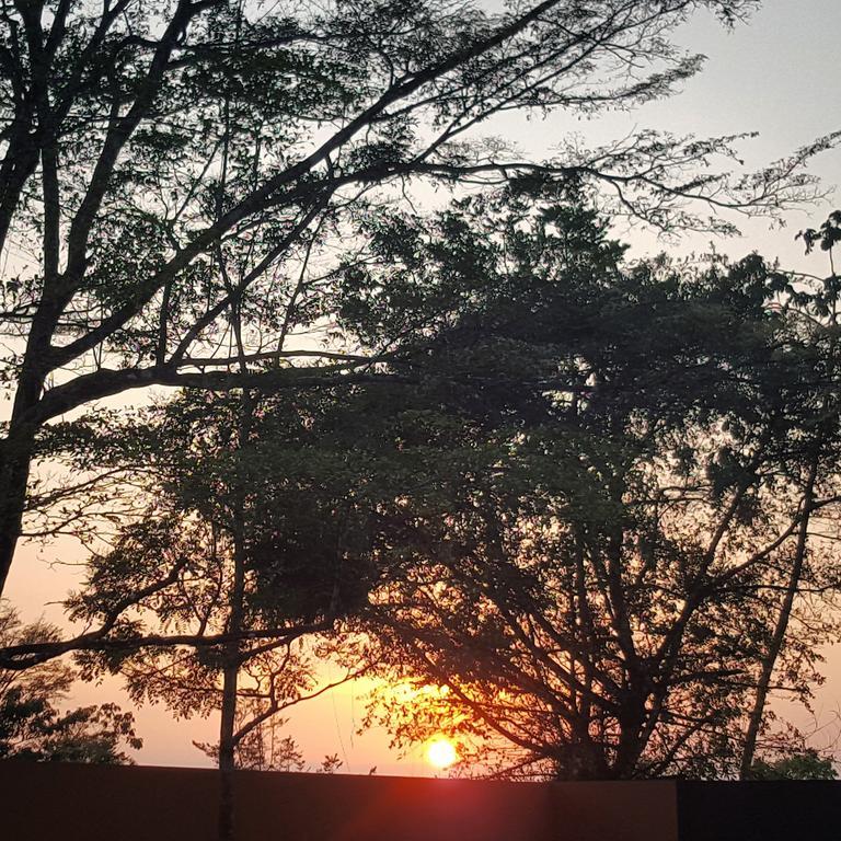 La Semilla Ecolodge Cerro Azul Eksteriør bilde