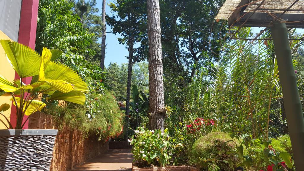 La Semilla Ecolodge Cerro Azul Eksteriør bilde