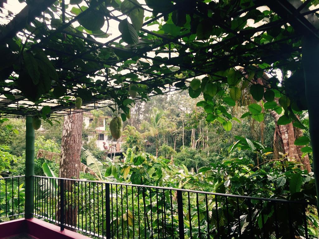 La Semilla Ecolodge Cerro Azul Eksteriør bilde